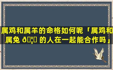 属鸡和属羊的命格如何呢「属鸡和属兔 🦊 的人在一起能合作吗」